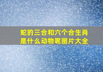 蛇的三合和六个合生肖是什么动物呢图片大全