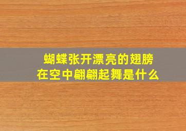 蝴蝶张开漂亮的翅膀在空中翩翩起舞是什么