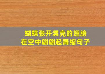 蝴蝶张开漂亮的翅膀在空中翩翩起舞缩句子