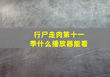 行尸走肉第十一季什么播放器能看