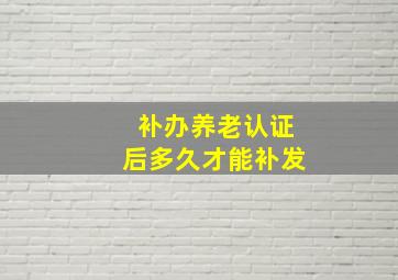 补办养老认证后多久才能补发