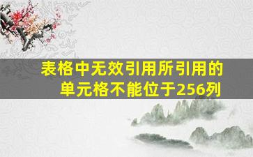 表格中无效引用所引用的单元格不能位于256列