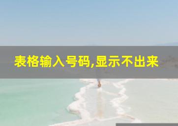 表格输入号码,显示不出来