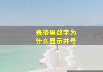 表格里数字为什么显示井号