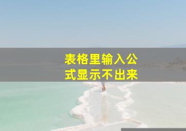 表格里输入公式显示不出来