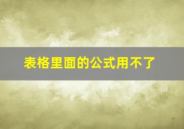 表格里面的公式用不了