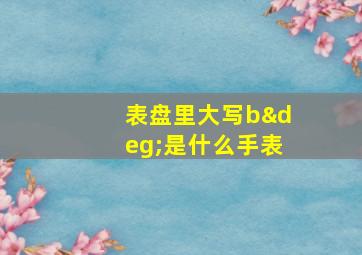 表盘里大写b°是什么手表