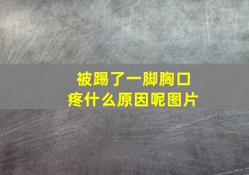 被踢了一脚胸口疼什么原因呢图片