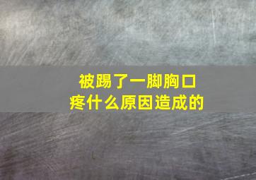 被踢了一脚胸口疼什么原因造成的