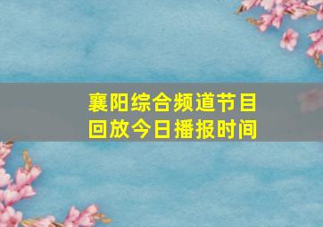 襄阳综合频道节目回放今日播报时间