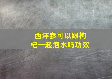 西洋参可以跟枸杞一起泡水吗功效