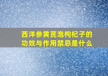 西洋参黄芪泡枸杞子的功效与作用禁忌是什么