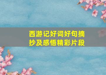 西游记好词好句摘抄及感悟精彩片段