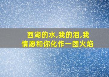 西湖的水,我的泪,我情愿和你化作一团火焰