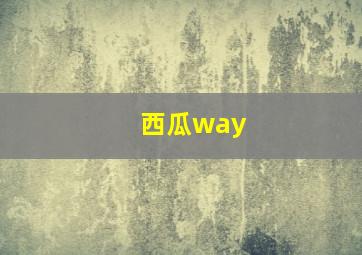 西瓜way