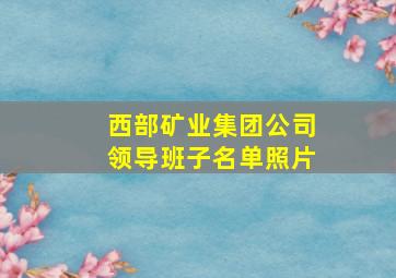 西部矿业集团公司领导班子名单照片