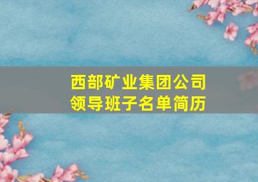 西部矿业集团公司领导班子名单简历