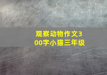 观察动物作文300字小猫三年级