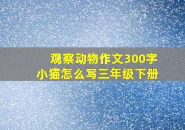 观察动物作文300字小猫怎么写三年级下册