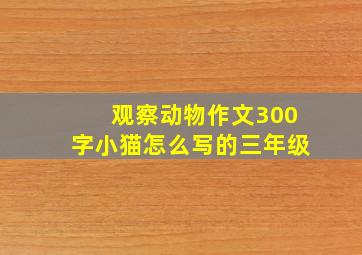 观察动物作文300字小猫怎么写的三年级