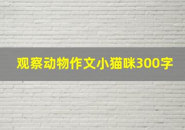 观察动物作文小猫咪300字