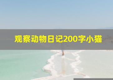 观察动物日记200字小猫