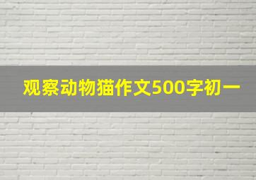 观察动物猫作文500字初一