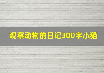 观察动物的日记300字小猫