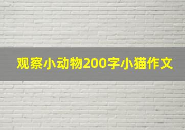 观察小动物200字小猫作文