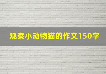 观察小动物猫的作文150字