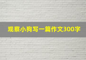 观察小狗写一篇作文300字