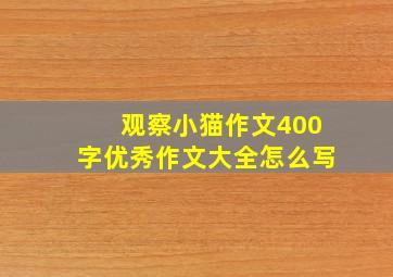 观察小猫作文400字优秀作文大全怎么写