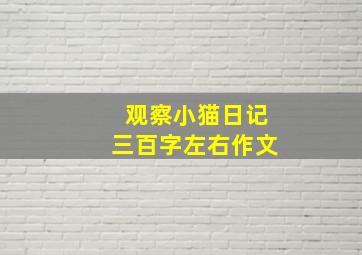 观察小猫日记三百字左右作文