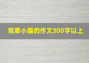 观察小猫的作文300字以上