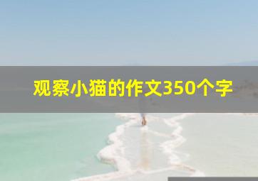 观察小猫的作文350个字