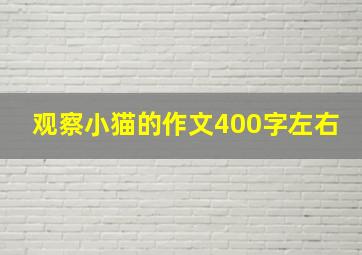 观察小猫的作文400字左右