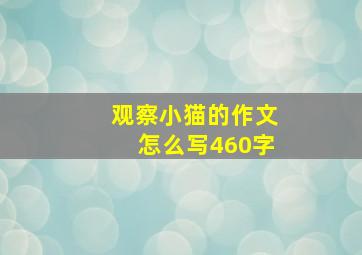 观察小猫的作文怎么写460字