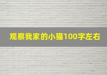 观察我家的小猫100字左右