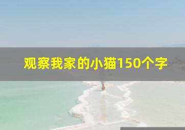 观察我家的小猫150个字