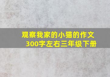 观察我家的小猫的作文300字左右三年级下册