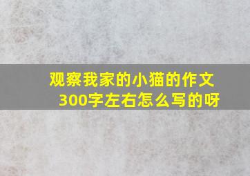 观察我家的小猫的作文300字左右怎么写的呀