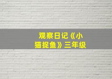 观察日记《小猫捉鱼》三年级