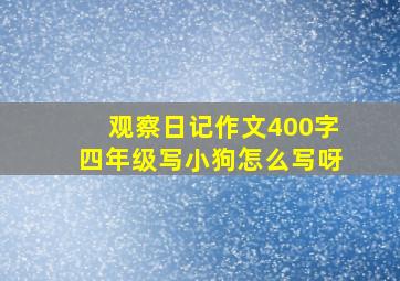 观察日记作文400字四年级写小狗怎么写呀