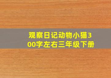 观察日记动物小猫300字左右三年级下册