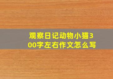 观察日记动物小猫300字左右作文怎么写