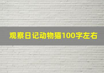 观察日记动物猫100字左右