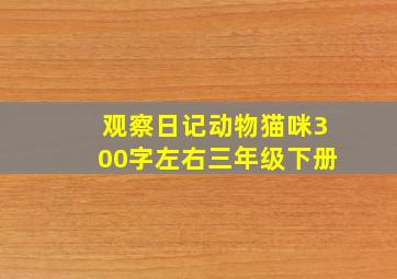 观察日记动物猫咪300字左右三年级下册