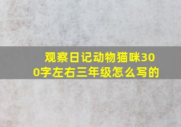 观察日记动物猫咪300字左右三年级怎么写的