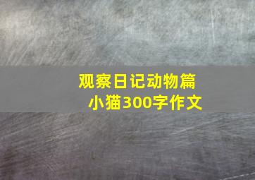 观察日记动物篇小猫300字作文