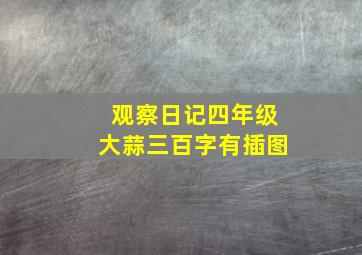 观察日记四年级大蒜三百字有插图